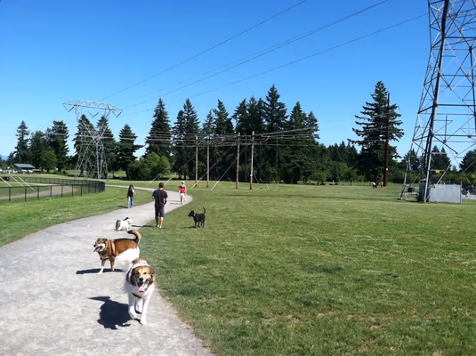 Dog Park at Dakota Park photo 1